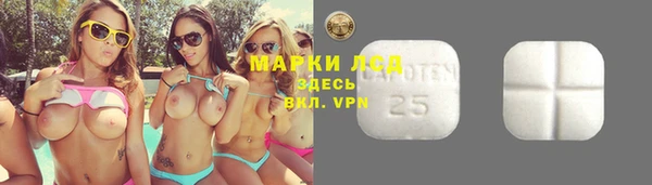 PSILOCYBIN Нея