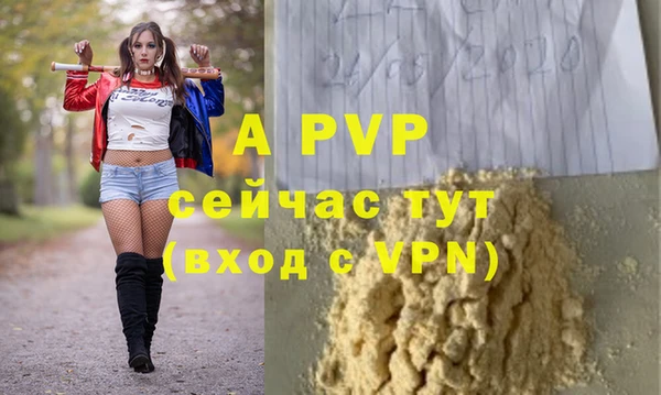 молекула духа Новодвинск
