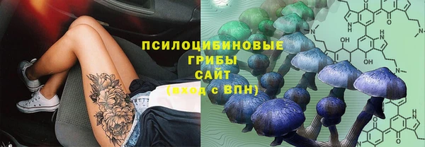 гидра Нефтегорск
