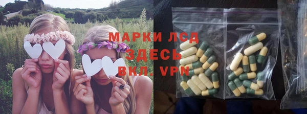 молекула духа Новодвинск