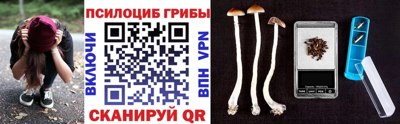 Галлюциногенные грибы прущие грибы  Пестово 
