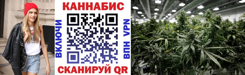 Конопля Bruce Banner  Пестово 